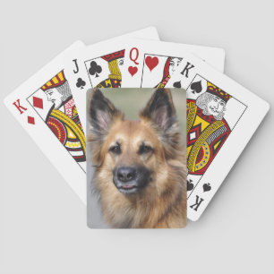 Creëer je eigen petfoto pokerkaarten