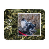 Creëer je eigen petfotomagneet magneet (Horizontaal)