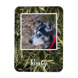 Creëer je eigen petfotomagneet magneet