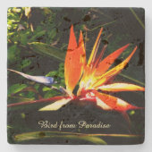 Creëer Je eigen Stone Onderzetter - Vogel van het (Voorkant)