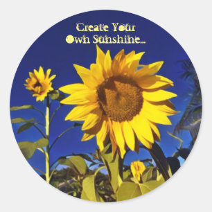 Creëer je eigen zonnebloempitjes ronde sticker