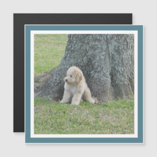 Creëer Square Photo Template Turquoise Cute Magnet