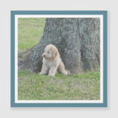 Creëer Square Photo Template Turquoise Cute Magnet (Voorkant)