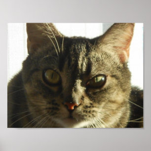 Creëer Uw eigen 11-inch x 8,5-inch Poster