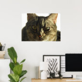 Creëer Uw eigen 28" x 20" Poster (Thuiskantoor)