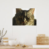 Creëer Uw eigen 28" x 20" Poster (Keuken)