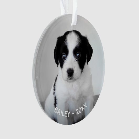 Creëer Uw eigen aangepaste foto en jaar Ornament (voorkant)