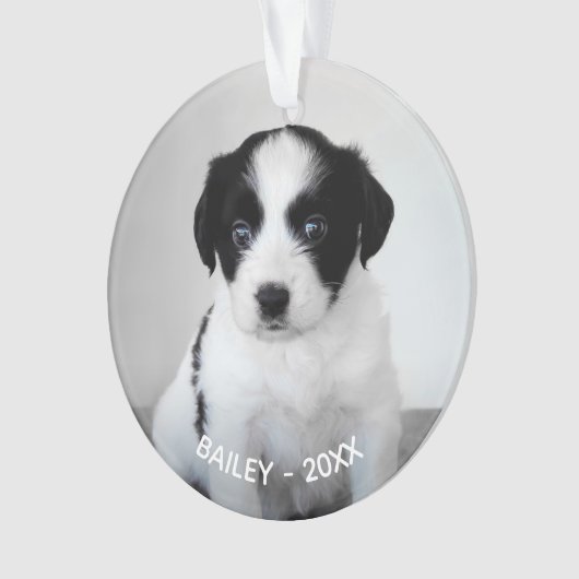 Creëer Uw eigen aangepaste foto en jaar Ornament (voorkant)