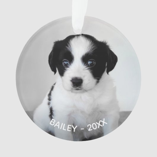 Creëer Uw eigen aangepaste foto en jaar Ornament (voorkant)