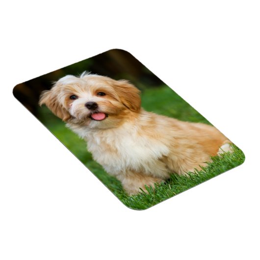 Creëer Uw eigen aangepaste foto van Pet Dog Magneet (Rechterzijde)