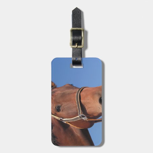 Creëer Uw eigen aangepaste fotocadeau Bagagelabel (Voorkant verticaal)