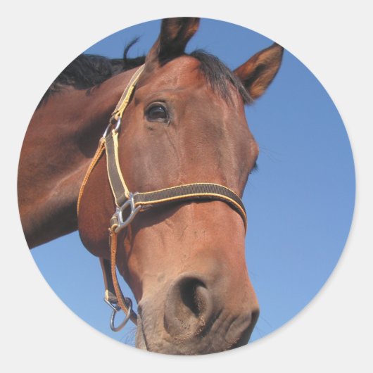 Creëer Uw eigen aangepaste fotocadeau Ronde Sticker (Voorkant)