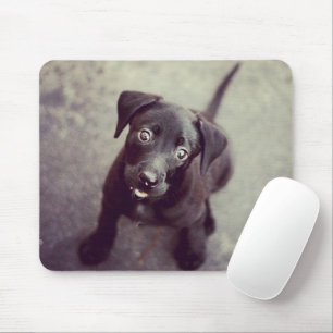 Creëer Uw eigen aangepaste installagram Foto Mouse Muismat