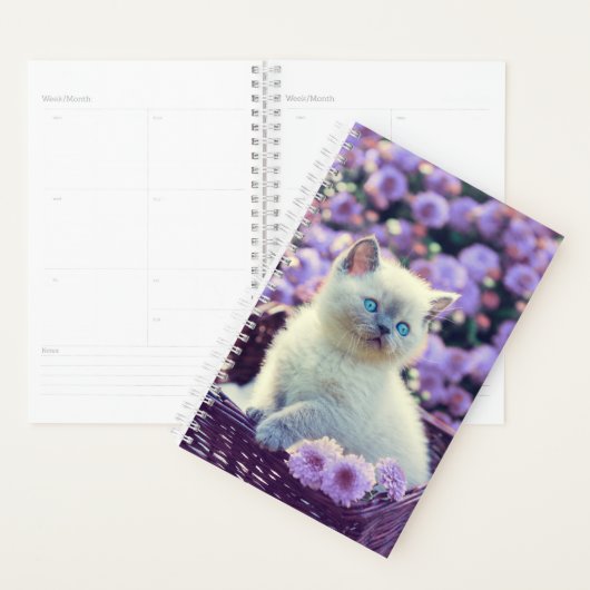 Creëer uw eigen aangepaste kattenfoto planner (Display)