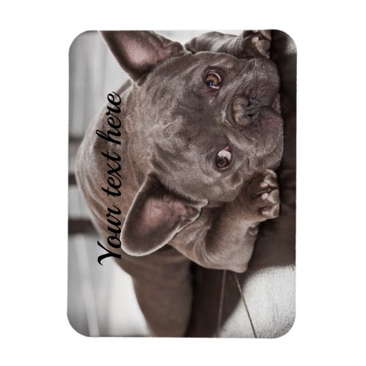 Creëer Uw eigen aangepaste Pet Dog-koelkast Magneet (Verticaal)