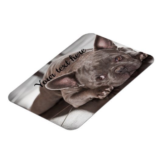 Creëer Uw eigen aangepaste Pet Dog-koelkast Magneet (Linkerzijde)