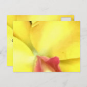 CREËER UW EIGEN BRIEFKAARTEN (Voorkant / Achterkant)