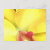 CREËER UW EIGEN BRIEFKAARTEN (Voorkant)