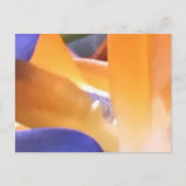 CREËER UW EIGEN BRIEFKAARTEN (Voorkant)