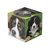 Creëer uw eigen familie huisdier foto collage mono kubus (Achter hoekig)