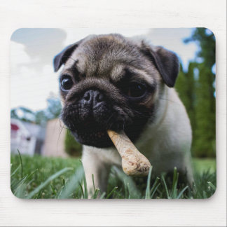 Creëer Uw eigen foto Aangepast Muismat