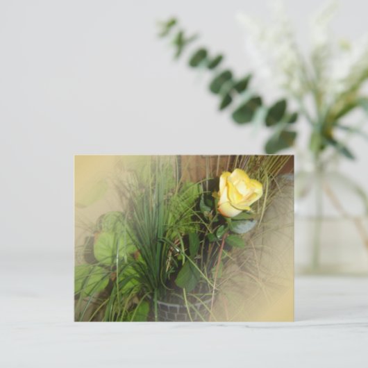 CREËER UW EIGEN FOTO BRIEFKAART (Staand voorkant)