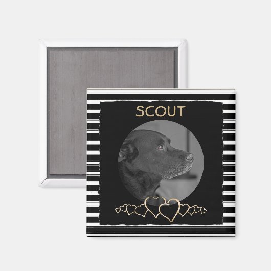 Creëer Uw eigen foto | Gepersonaliseerde huisdier Magneet (Voorkant / Achterkant)
