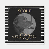 Creëer Uw eigen foto | Gepersonaliseerde huisdier Magneet (Voorkant)