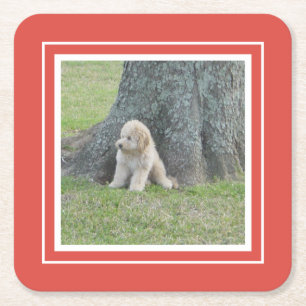 Creëer Uw eigen foto, koraal en wit Vierkante Kartonnen Onderzetter