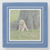 Creëer Uw eigen foto Sjabloon Keepomwille Blue Whi Stenen Onderzetter (Voorkant)