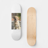 Creëer Uw eigen foto van Pet Dog Skateboard (Voorkant)