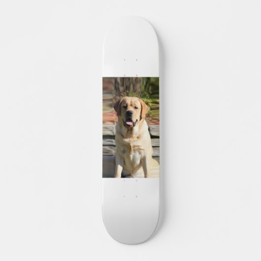 Creëer Uw eigen foto van Pet Dog Skateboard (Voorkant)