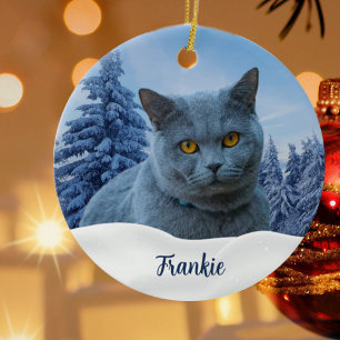 Creëer Uw eigen foto van Pet Keramisch Ornament