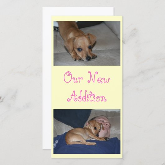 Creëer Uw eigen fotokaarten Aankondiging (Voorkant / Achterkant)