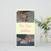 Creëer Uw eigen fotokaarten Aankondiging (Staand voorkant)