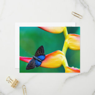 Creëer uw eigen gepersonaliseerde fotosjabloon uitnodiging briefkaart