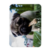 Creëer Uw Eigen Grappige Foto Aangepast Magneet (Verticaal)