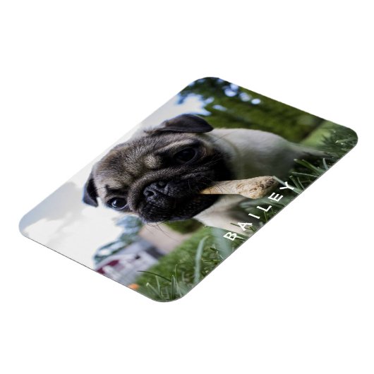 Creëer Uw Eigen Grappige Foto Aangepast Magneet (Linkerzijde)