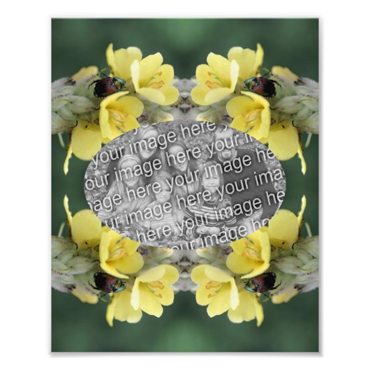 Creëer Uw Eigen Kever Mullein Flower Lijst 8x10 Foto Afdruk (Voorkant)