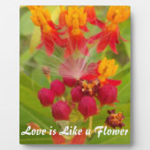 Creëer Uw eigen levenslange levenslange producten  Fotoplaat (Voorkant)