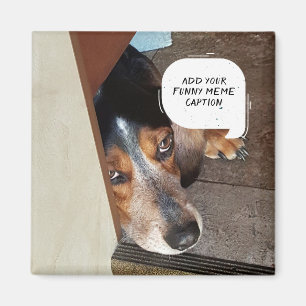 Creëer Uw eigen Meme Custom Funny Foto Magneet