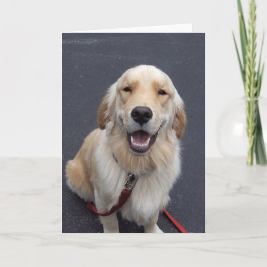 Creëer uw eigen uitdrukkingen! Eenvoudig te gebrui Feestdagen Kaart (Voorkant)