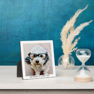 Creëer Uw eigen witte rand met één fotogalerie Fotoplaat