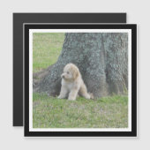 Creëer Uw Eigen Zwart & Wit Vierkante Fotomagneet (Voorkant / Achterkant)