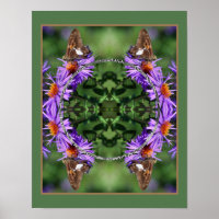 Creëer uw foto vlinder op Aster Flower Lijst