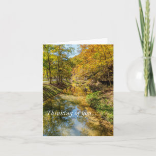 Creek Automne Réflexions Sur Votre Carte