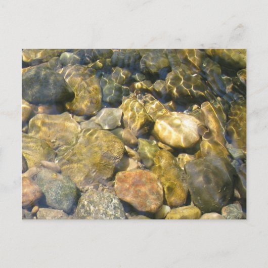 Creek Bed Briefkaart (Voorkant)