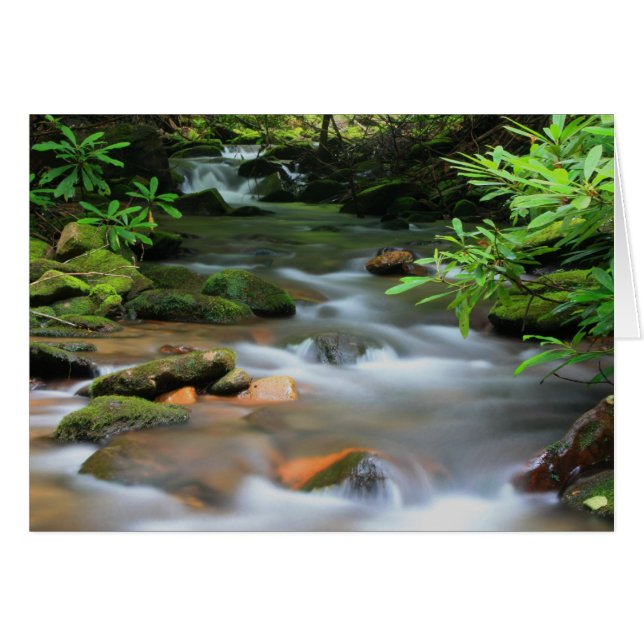 Creek-kaart (Voorkant Horizontaal)