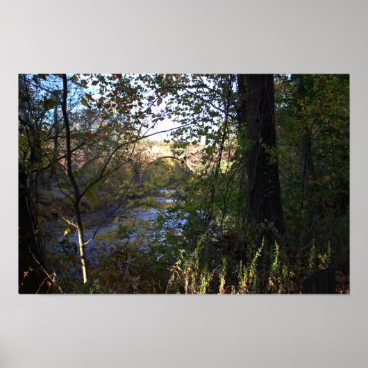 Creek met Bridge Poster (Voorkant)