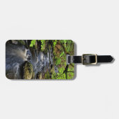 Creek stromen door bos bagagelabel (Voorkant horizontaal)